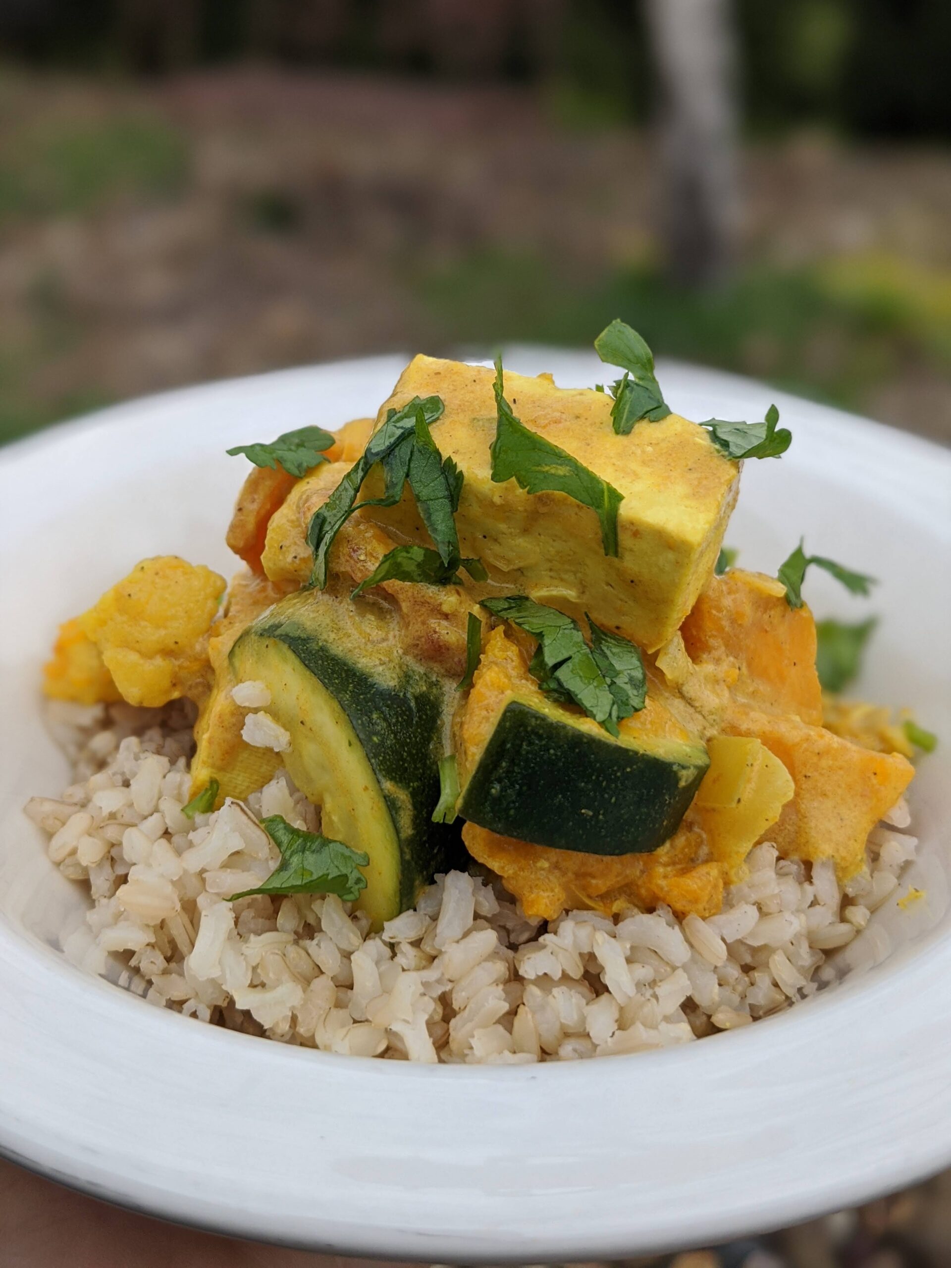 tofu and vegetable curry